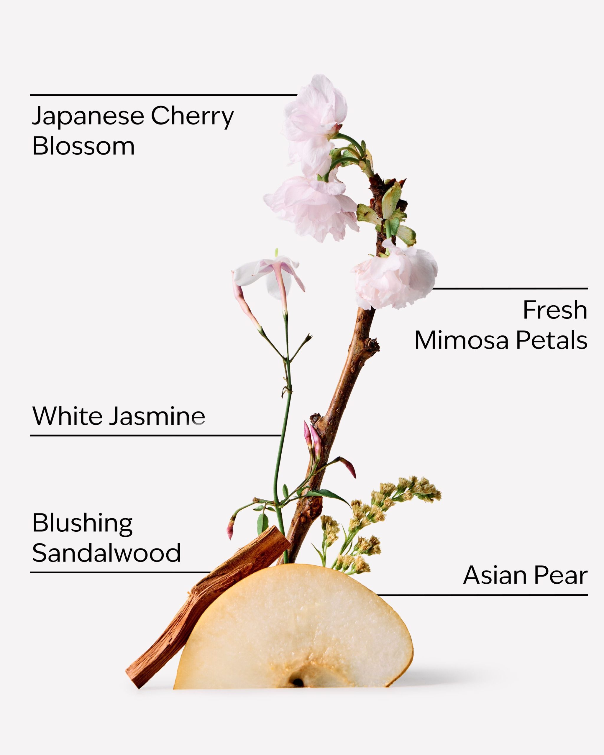 手肘膝盖干燥怎样涂身体乳的质地与使用参考图